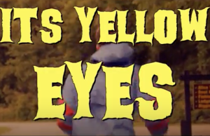 It's Yellow Eyes