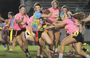powderpuff